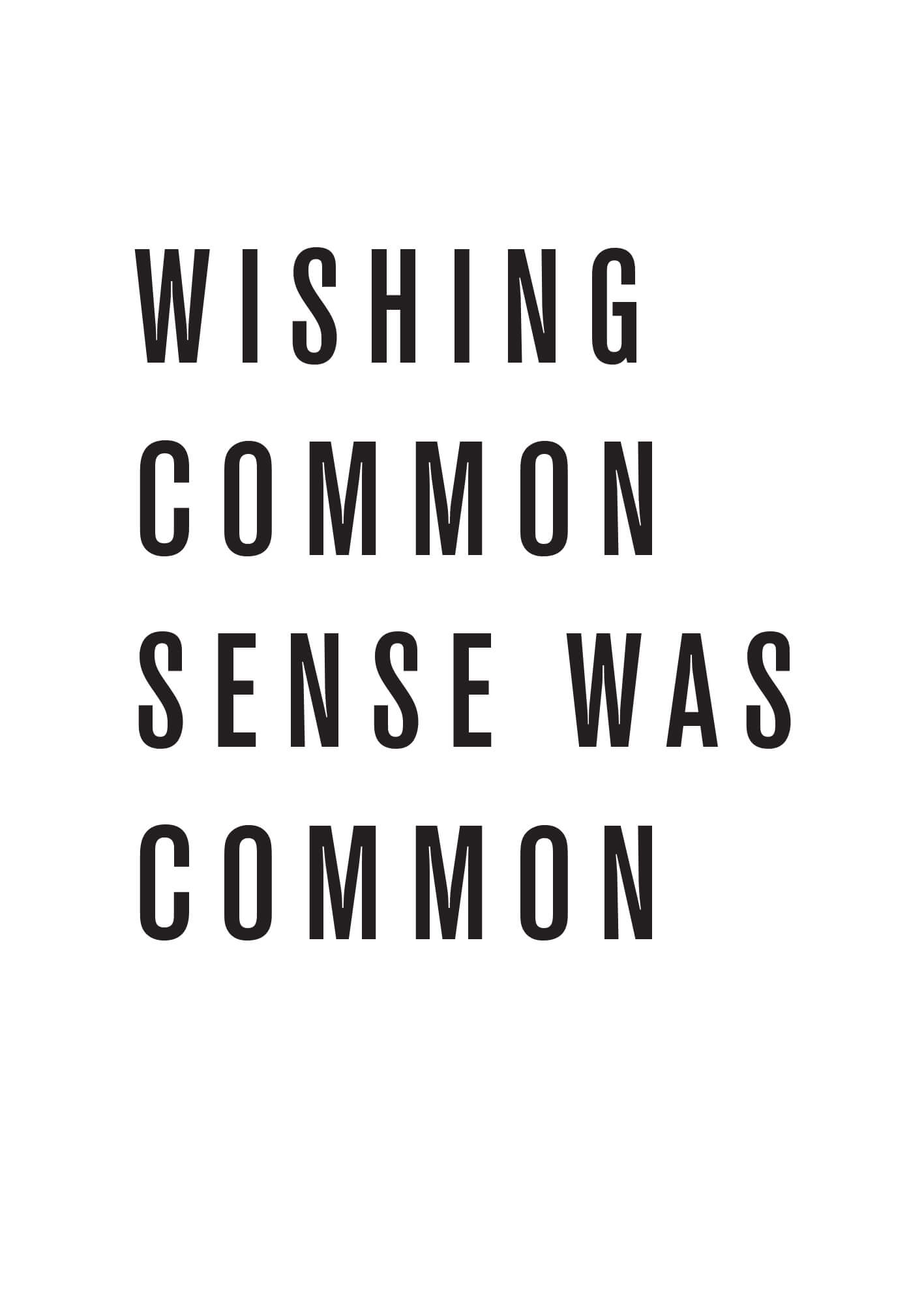 Common Sense MercerPublic